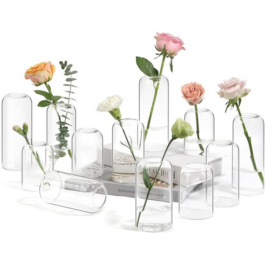 Glass Bud Vases - Set of 6